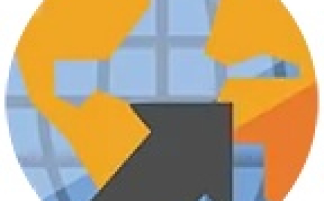 BROWSER AUTO SELECTOR FREE 2.50C