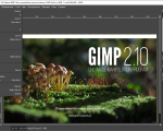 Screenshot #2 - GIMP