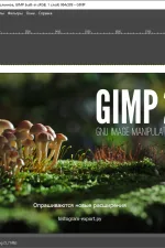 Screenshot #2 - GIMP