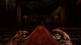 Screenshot #1 - Navicula Meatus