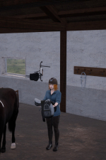 Screenshot #10 - Unbridled: That Horse Game