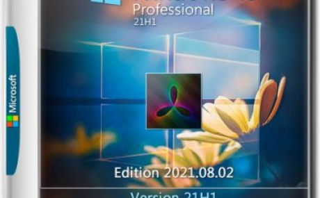 Windows 10 Pro 21H1 19043.1110 x64 ru by SanLex (2021.08.02)