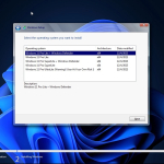 Screenshot #8 - Windows 11 Pro Lite +/- Windows Defender by Ankh Tech 11.2023