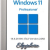 Windows 11 Pro 24H2 26100.1742 (x64) Elgujakviso Edition (v.05.10.24)
