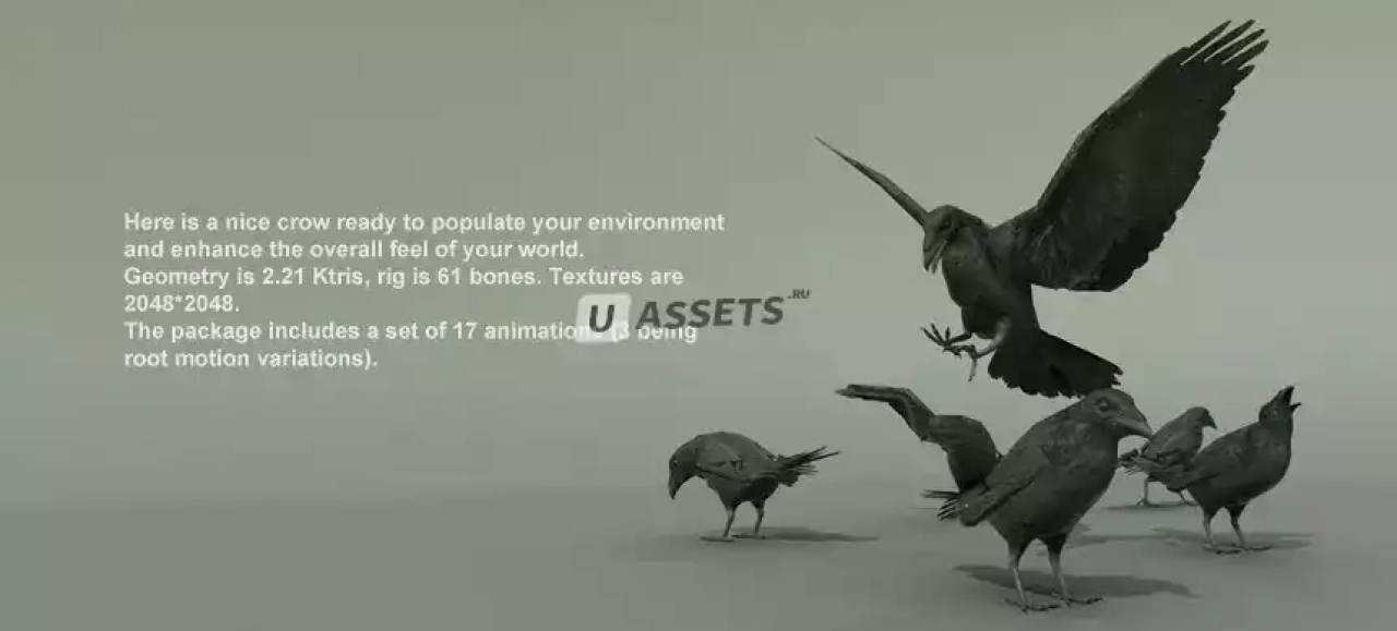 Screenshot #1 - BIRDS PACK