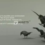 Screenshot #1 - BIRDS PACK