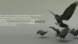 Screenshot #1 - BIRDS PACK