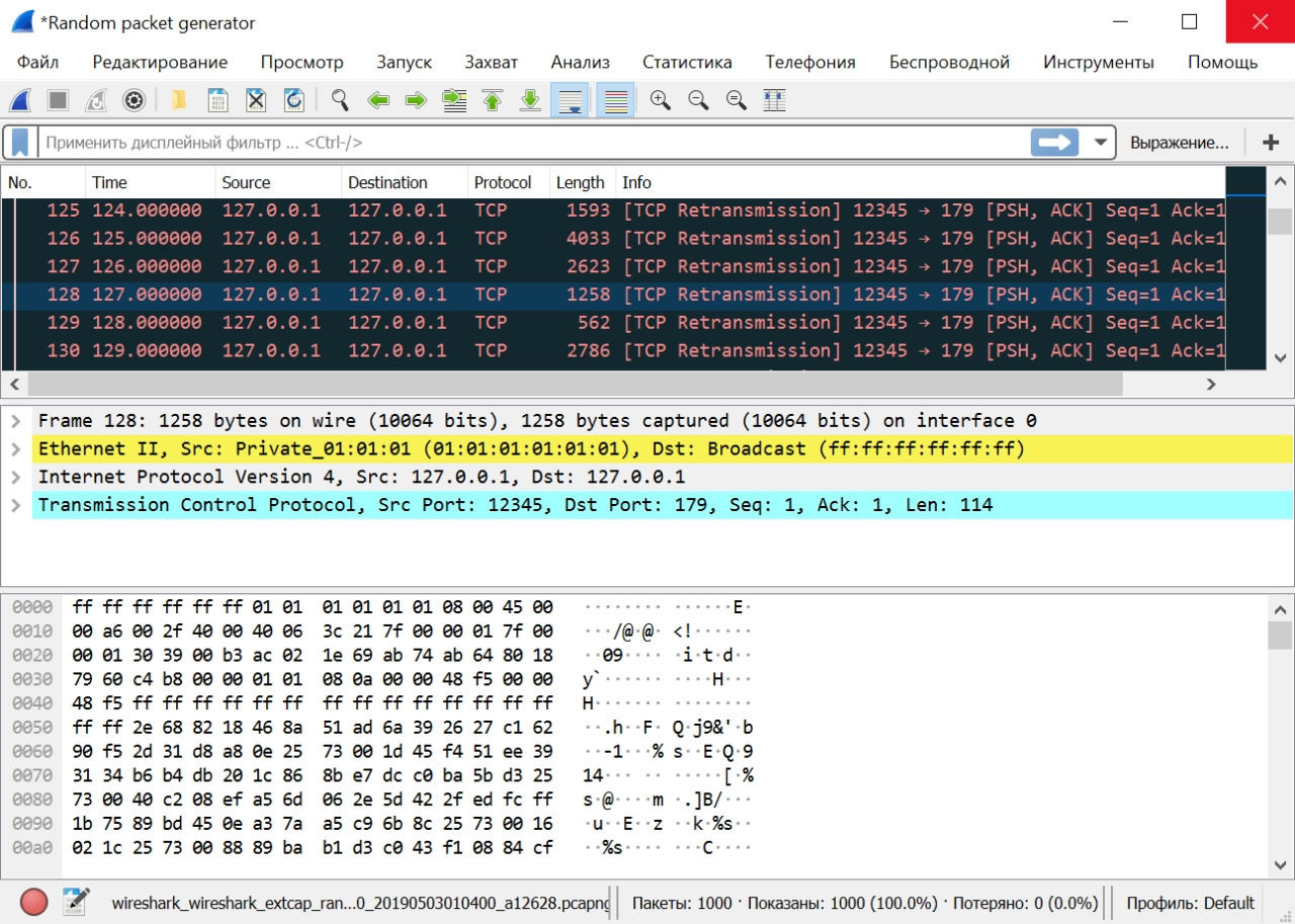 Screenshot #2 - Wireshark — анализ сетевого трафика и диагностика сети