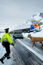 Screenshot #9 - GAI Stops Auto: Right Version Simulator