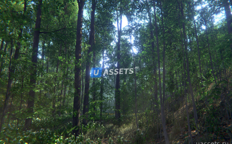 Nature Package - Forest Environment