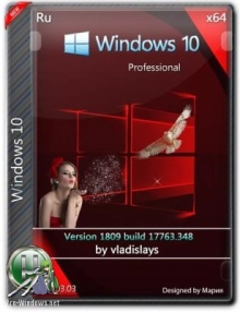 Windows 10 Pro 1809 (build 17763.348) x64 [Ru] by vladislays v19.03.03