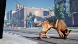 Screenshot #2 - Animalia - German Shepherd