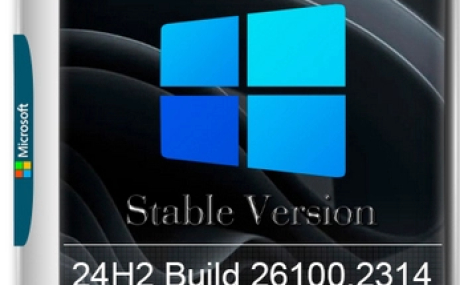 Windows 11 Pro 24H2 Build 26100.2314 Stable Version