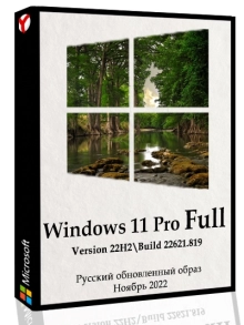 Windows 11 Pro x64 Full November 2022 by WebUser