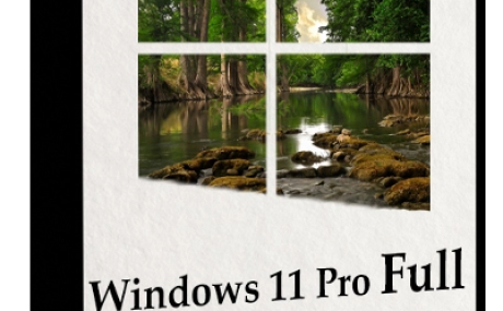 Windows 11 Pro x64 Full November 2022 by WebUser