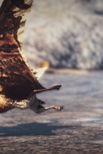 Screenshot #3 - Primal Carnage: Extinction