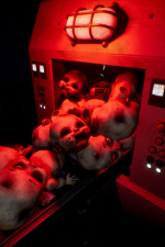 Screenshot #3 - Dollmare