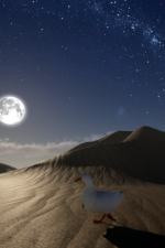 Screenshot #8 - Ducky: The Curious