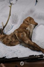 Screenshot #2 - Short Snow