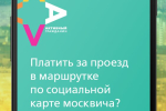 Screenshot #1 - АКТИВНЫЙ ГРАЖДАНИН 3.31.1
