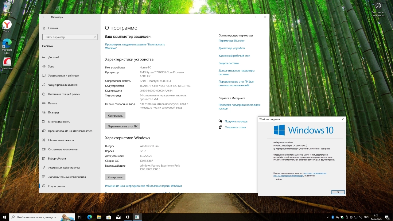 Screenshot #2 - Windows 10 Pro 22H2 Build 19045.5487 Full Февраль 2025