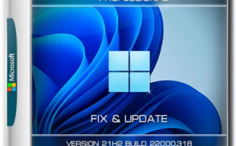 Windows 11 Pro x64 21Н2 (build 22000.318) by ivandubskoj 11.11.2021