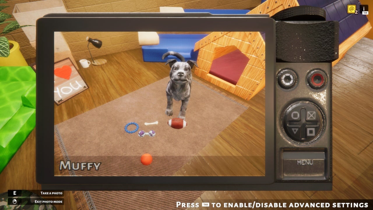 Screenshot #6 - Animal Shelter