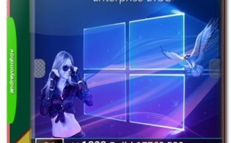 Windows 10 Enterprise LTSC 2019 17763.529 Version 1809 2DVD