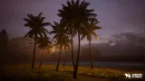 Screenshot #7 - Miami Vice City (Unreal Engine)