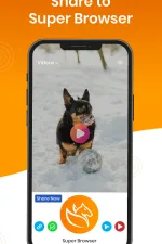 Screenshot #2 - SUPER BROWSER 5.2.5