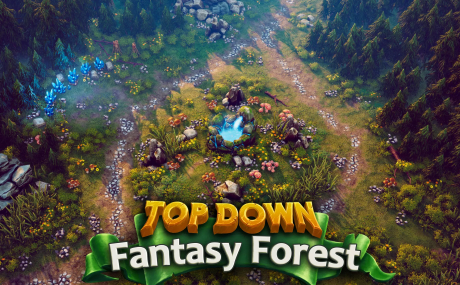 Top Down - Fantasy Forest