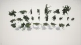 Screenshot #1 - Realistic IVY Plants for Unreal