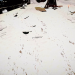 Screenshot #4 - Global Snow