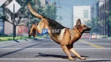 Screenshot #4 - Animalia - German Shepherd