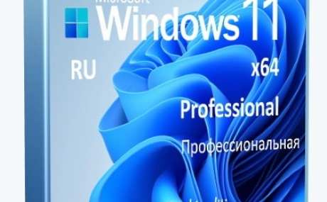 Windows 11 Professional VL x64 21H2 RU by OVGorskiy 08.2022