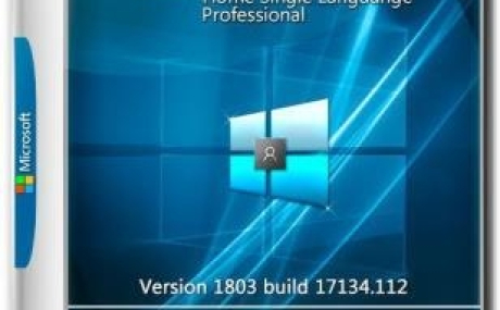 Windows 10 HomeSL/Pro 1803 x86/x64 by kuloymin v13.4 (esd)