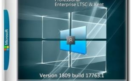 Windows 10 PRO/HSL/LTSC & Kent x64 1809 by kuloymin v15 (esd)