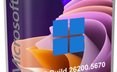 Windows 11 Pro 25H2 Build 26200.5670 Dev
