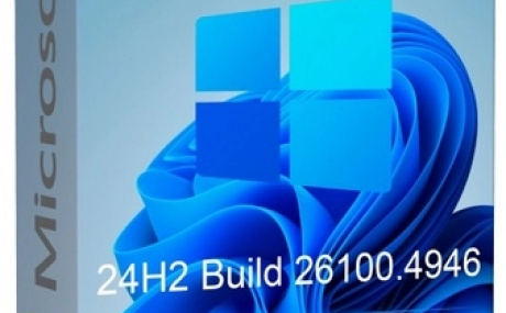 Windows 11 Pro 24H2 Build 26100.4946 Full Август 2025