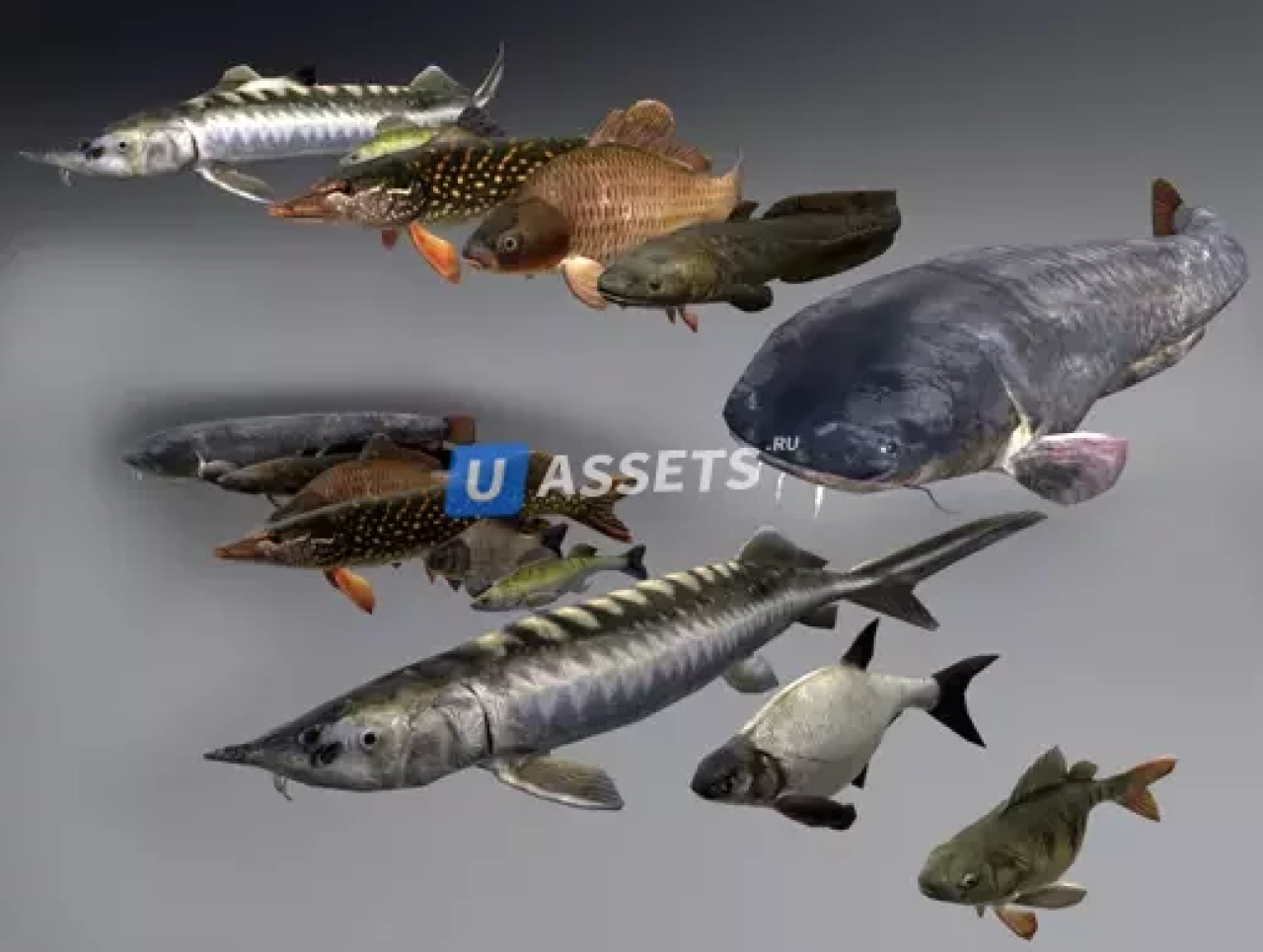Screenshot #2 - Fish animation