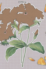 Screenshot #5 - Plants Huddled Together