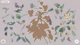Screenshot #7 - Plants Huddled Together