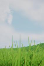 Screenshot #12 - Liminality