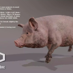 Screenshot #4 - FARM ANIMALS PACK