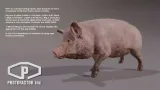 Screenshot #4 - FARM ANIMALS PACK