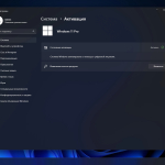 Screenshot #5 - Windows 11 Pro 24H2 Build 26100.2314 Optima