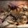 Spider Character Spiders Pack - Fantasy RPG