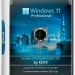 Windows 11 Pro 22H2 build 22621.105 by KDFX + Встроенный Proxy