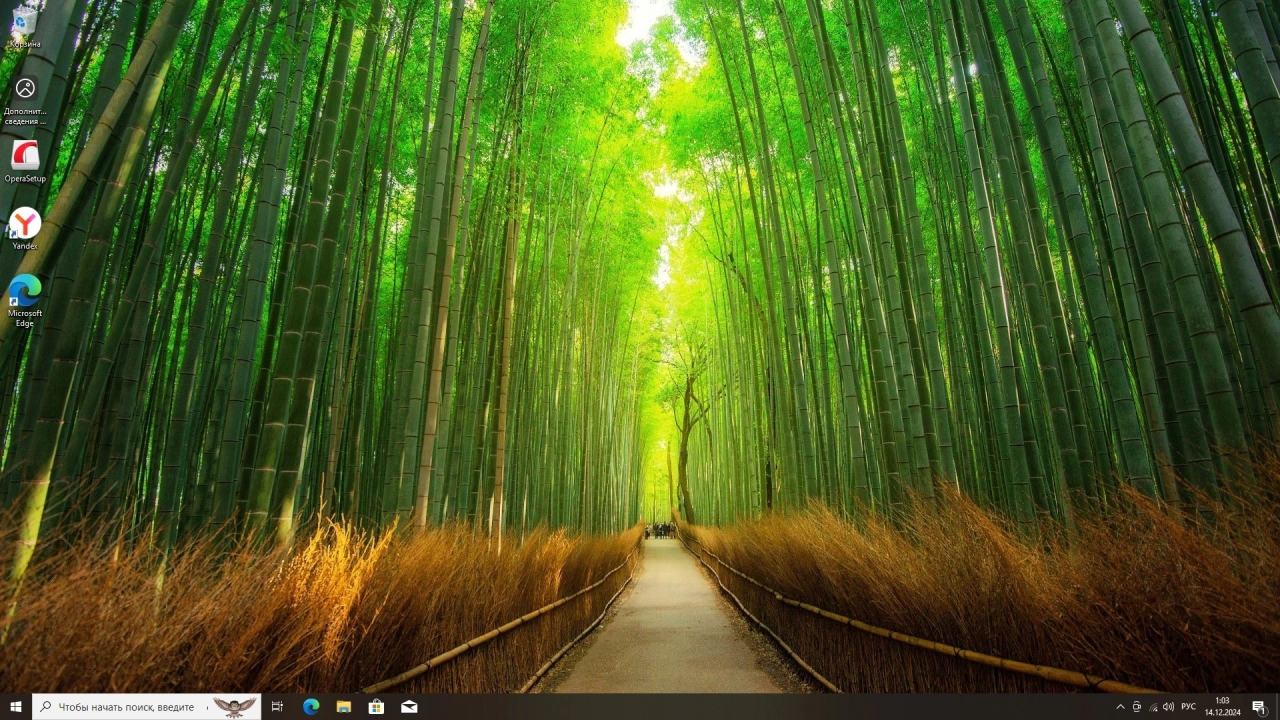 Screenshot #1 - Windows 10 Pro 22H2 Build 19045.5247 Full Декабрь 2024