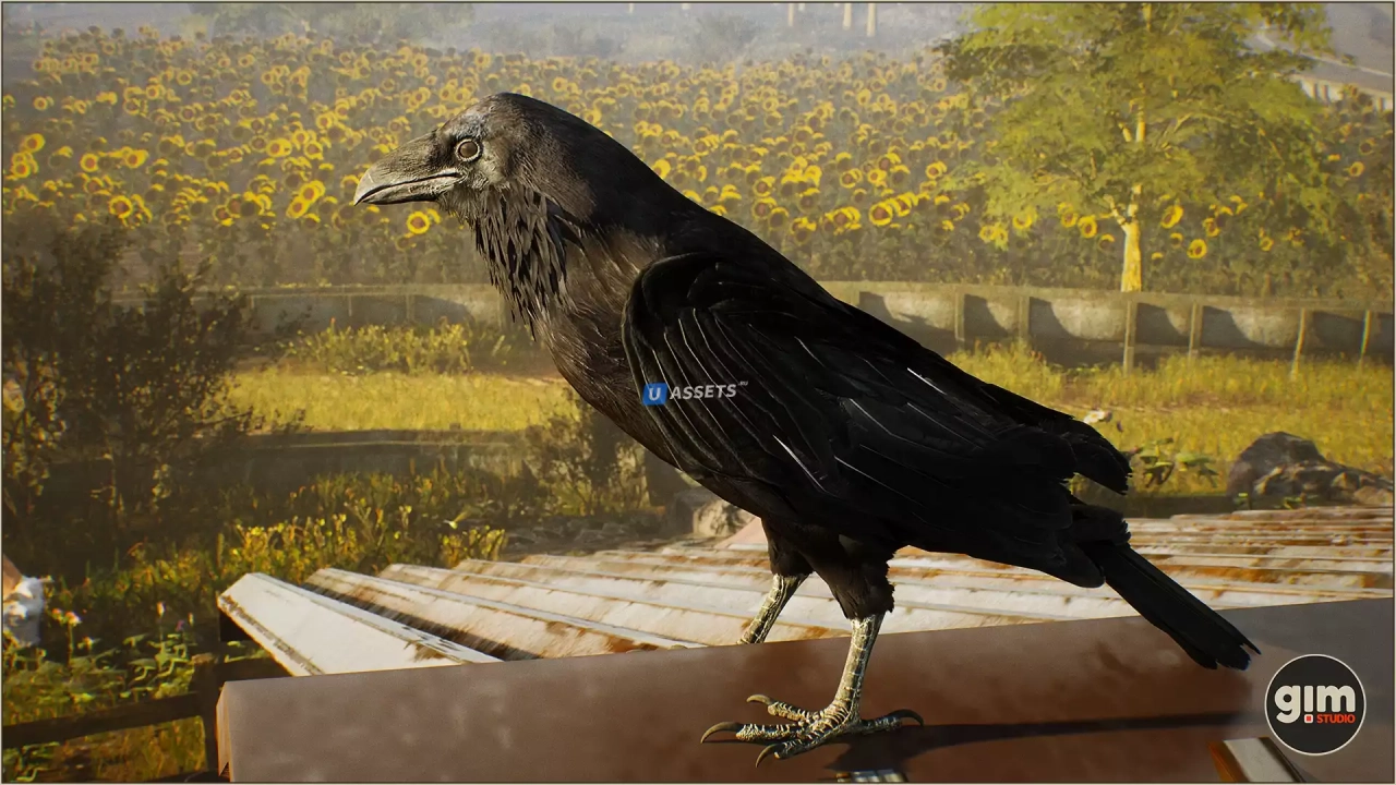Screenshot #2 - Animalia - Raven